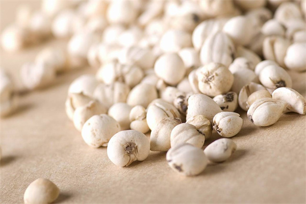 綠生藥業(yè) 專(zhuān)注天然養(yǎng)身，科技賦能保健食品新未來(lái)